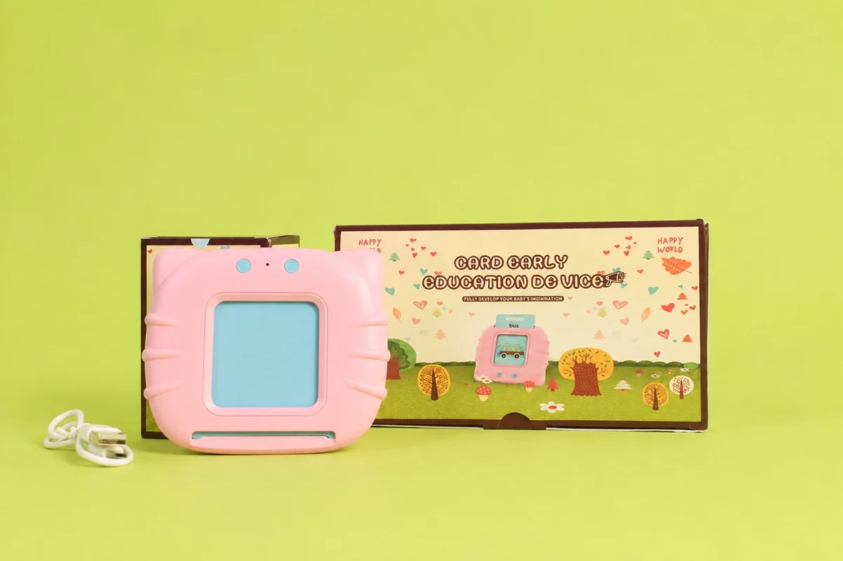 Electronic Flash Card